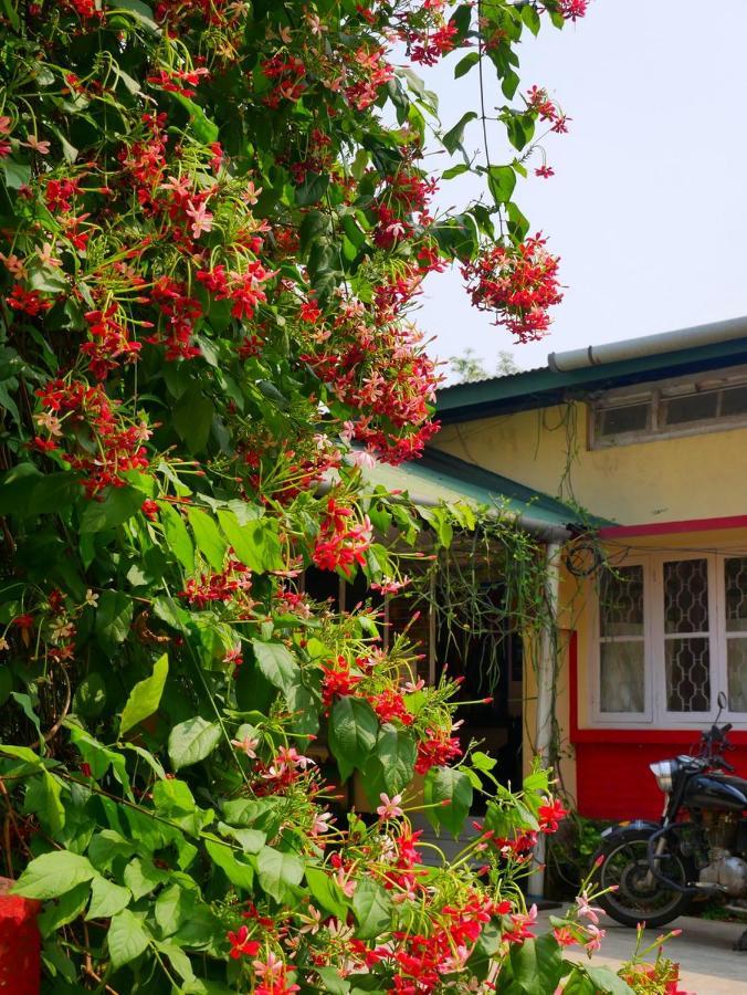 Gibbon Backpackers Hostel Guwahati Eksteriør billede