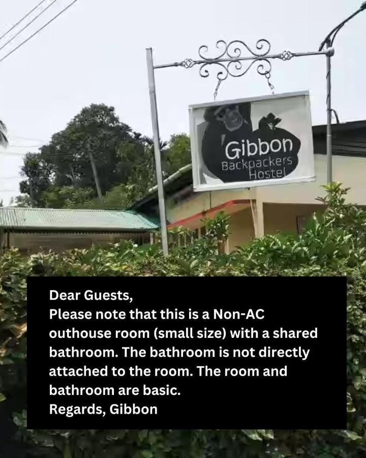 Gibbon Backpackers Hostel Guwahati Eksteriør billede